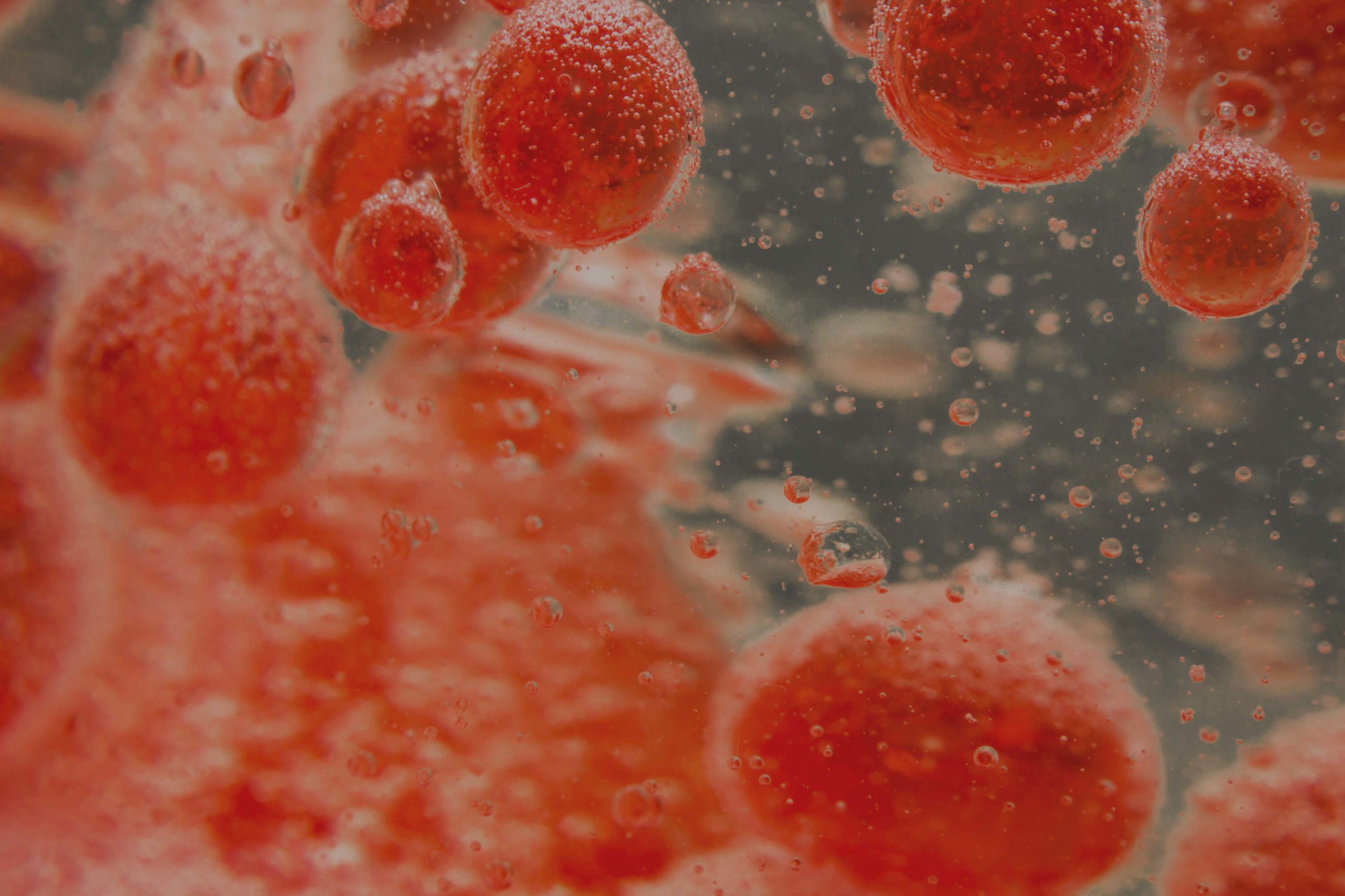 Magnolia Medical and The Center for Phlebotomy Education and Training Partnership